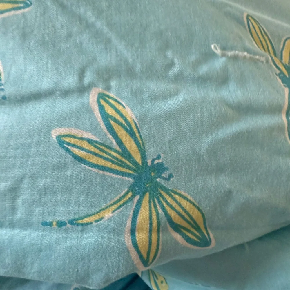 Lilly Pulitzer discontinued lilly